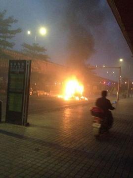 罗村爆料新闻最新,最新爆料揭示惊人真相