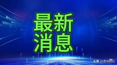 沾益最新爆料消息今天新闻,揭秘今日热点事件背后真相
